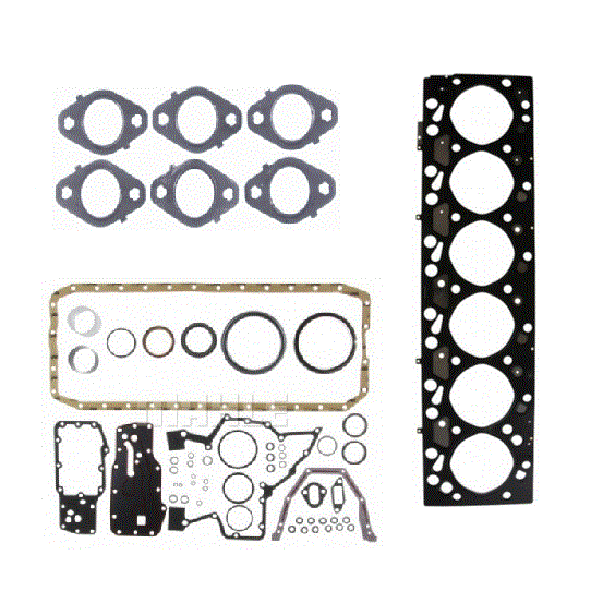 Gaskets & Seals