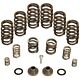 BD Diesel 1040185 Governor Spring Kit, 4000rpm - 1994-1998 Dodge 12-valve/P7100 Pump
