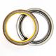 Crank Seal