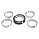 Main Bearings 94-03 Ford 7.3L Powerstroke