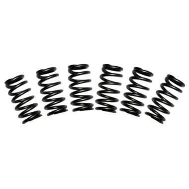 BD Diesel 1030060 BD 5.9L Cummins Valve Spring Kit 60lbs Dodge 1988-1998 12-valve