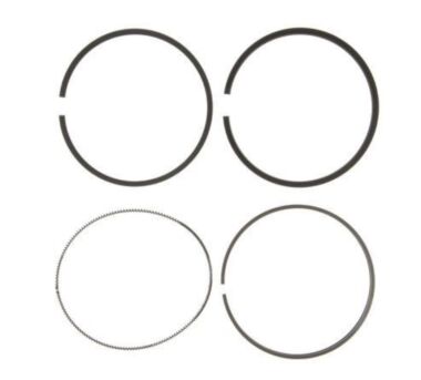 Mahle Clevite 41940-030 Piston Ring Set (.030)