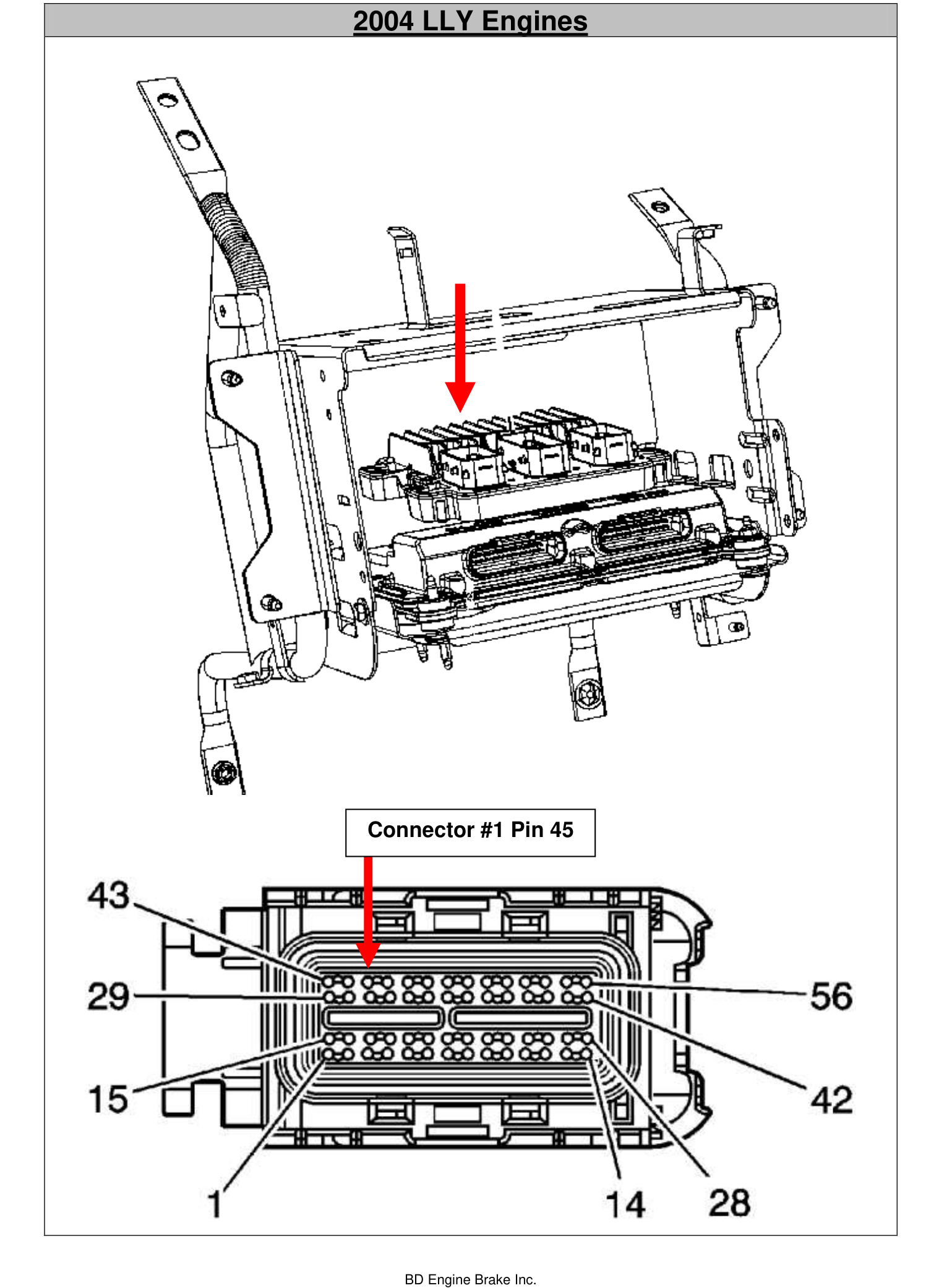 2004 LLY ECM connector #1 with pin 45 location for the supplied pin